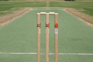 Rivo Stumps