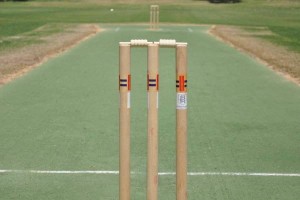 Rivo Stumps